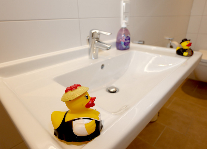 Ferienwohnung Schönwaldblick - 2 große Balkone mit traumhafter Sicht - barrierefrei - Mein SWH