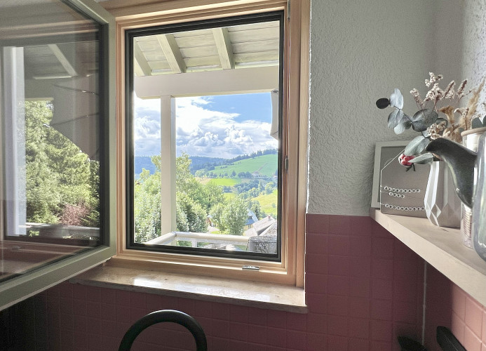 Ferienwohnung Glückauf 1040 - Todtnauberg - Mein SWH