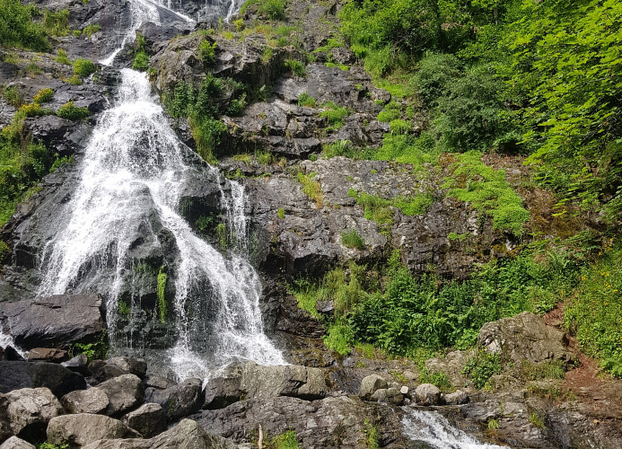 Ferienwohnung Naturverliebt im Schwarzwald - mit Sauna und Panoramabalkon, direkt an Skipiste und Wanderwegen